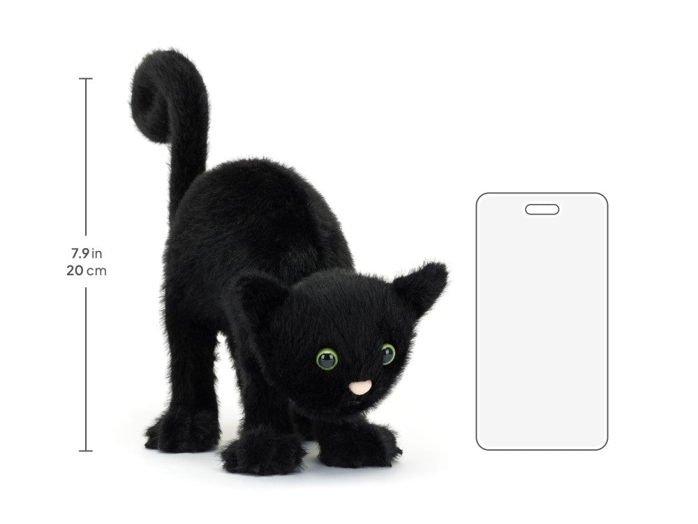 Spookipaws Cat